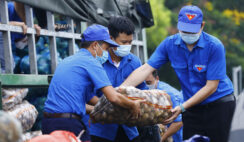 Lương tâm chính là phương thuốc tốt nhất trong đại dịch