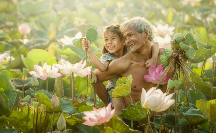 Hãy học cách từ bỏ, đừng “chịu đựng phú quý”