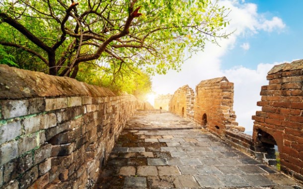 Đừng vội vã vì chút thành tựu nhỏ