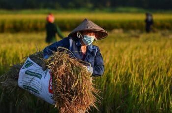 Thoát Khỏi “Lạc Hậu” Hay Đánh Mất “Tinh Hoa Truyền Thống”?