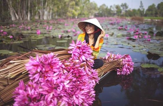 Mùa nước nổi quê tôi