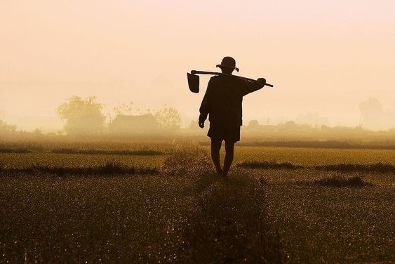 Một ông lão tuổi ngoài 70 ở một mình tại New Jeasey là cha của một tù nhân