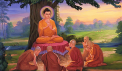 Đức Phật khai thị vì sao con người sẽ quên đi kiếp trước (P.1): Hạt giống và cây cổ thụ