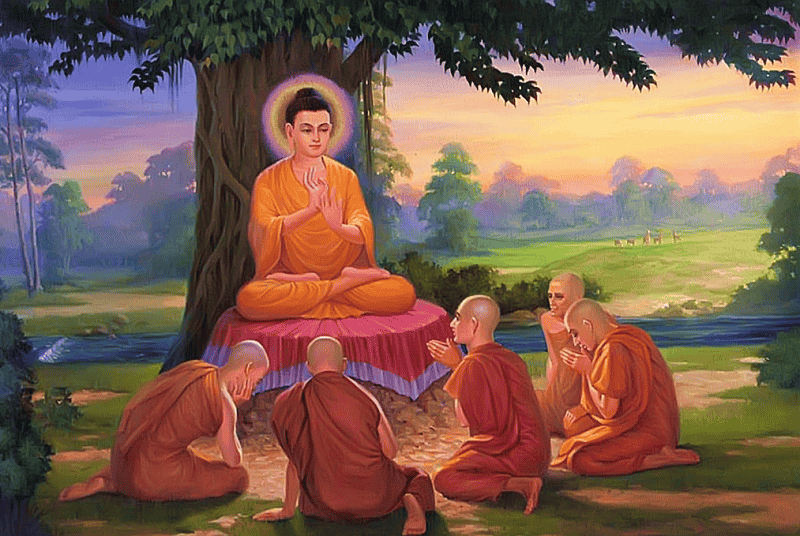 Đức Phật khai thị vì sao con người sẽ quên đi kiếp trước (P.1): Hạt giống và cây cổ thụ