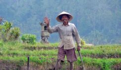 Chú Út – Khi ơn nghĩa được nối dài