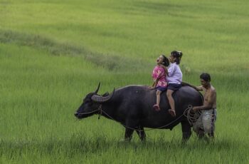 Hoài niệm về tuổi thơ và nhận ra chân lý để dạy con làm người tốt