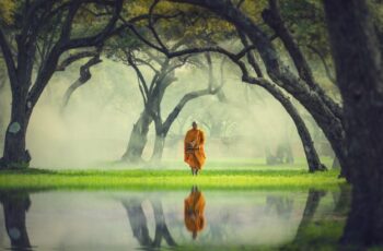Vô cầu không phiền não là đạo dưỡng sinh, cũng là đạo xử thế