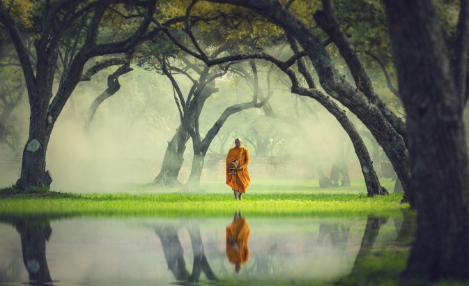 Sự tĩnh tại trong tâm hồn là trân bảo mỹ diệu của trí tuệ