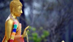 Oán hận sẽ dẫn đến sai lầm, nặng tâm chi bằng thay đổi