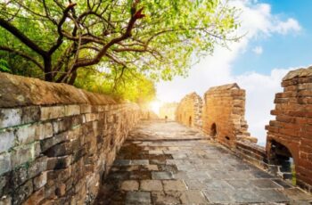 3 điều người trí tuệ nhất định không nói
