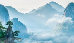 Đức là gốc, tài là ngọn, muốn cầu phú quý phải có lòng nhân