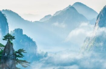 Đức là gốc, tài là ngọn, muốn cầu phú quý phải có lòng nhân