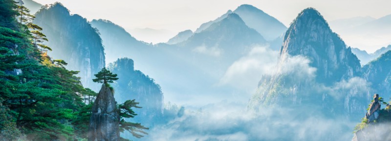 Đức là gốc, tài là ngọn, muốn cầu phú quý phải có lòng nhân