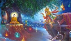 Bạn muốn chọn không?