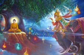 Bạn muốn chọn không?