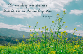 Mạn đàm câu nói: “Lời nói chẳng mất tiền mua, lựa lời mà nói cho vừa lòng nhau”