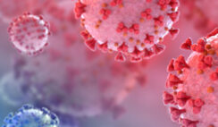 Đối diện với đại dịch Virus Corona, lối thoát nào dành cho nhân loại chúng ta?…