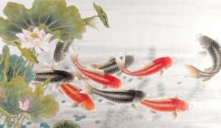 Người trí tuệ khi bị hiểu lầm vì sao lại không giải thích?