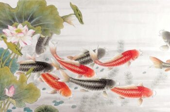 Người trí tuệ khi bị hiểu lầm vì sao lại không giải thích?