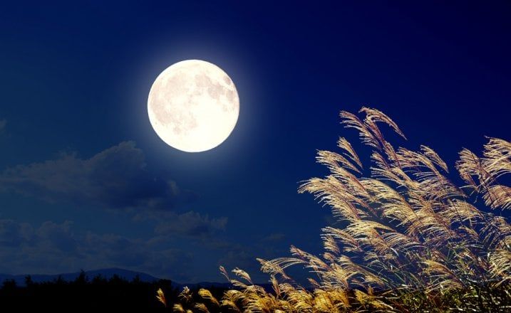 Chương 1: Hậu đức tải vật

Mục 3: Sự rộng lớn của Thiên địa

Nhân pháp thiên địa: Hậu đức tải vật, tự cường bất tức