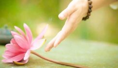 Từ bỏ? Có lẽ bạn sẽ thực sự nhận được.