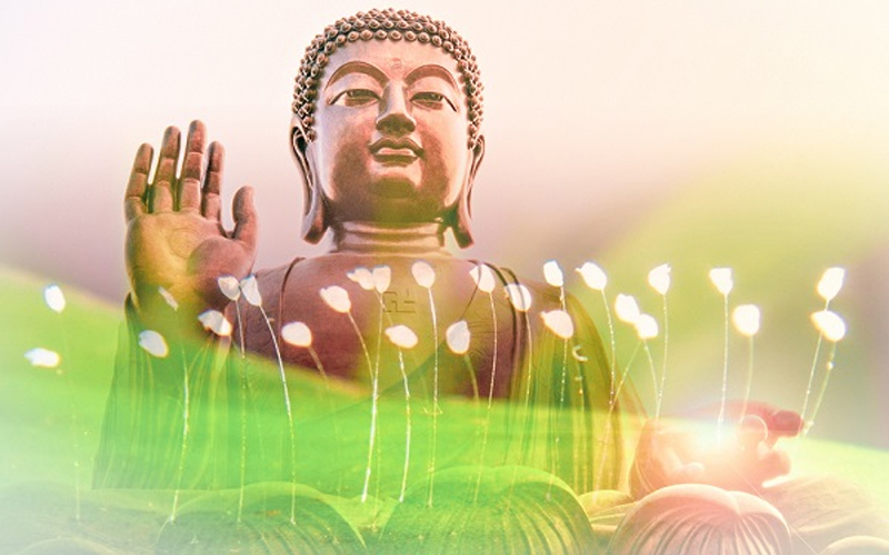 Khi Phật Pháp chân chính xuất hiện, sẽ có Thánh hoa Ưu Đàm Bà La 3000 năm một lần nở dựa vào uy đức của Giác Giả mà khai nở (Ảnh internet)