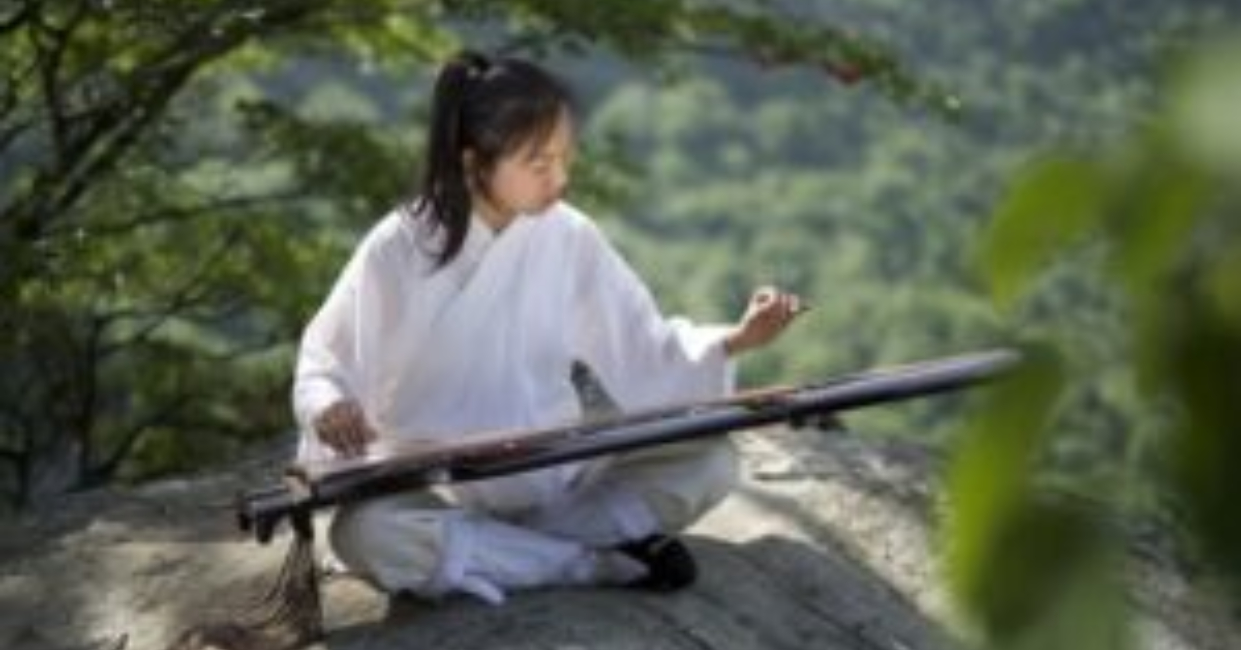 Cơ duyên đến với Cổ Cầm (2)