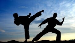 Tu luyện ký sự (4): Con đường đưa tôi đến với tu luyện khởi nguồn từ niềm đam mê võ thuật  