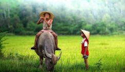 Được và mất trong đời người, nhân sinh mấy ai tỏ tường ?