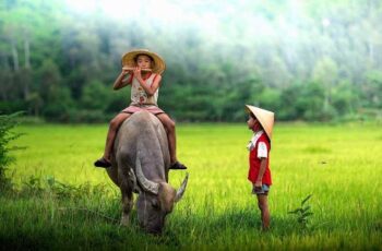 Được và mất trong đời người, nhân sinh mấy ai tỏ tường ?