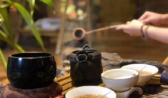 Luận bàn về trà đạo