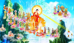 Lời Phật giảng về thời mạt pháp: Nữ thọ hơn nam, sư tăng vô đạo