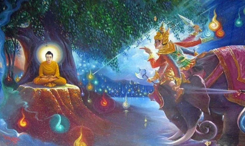 Bạn muốn chọn không?