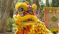 🌸Vũ Lân Nghênh Xuân🌸
