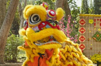 🌸Vũ Lân Nghênh Xuân🌸